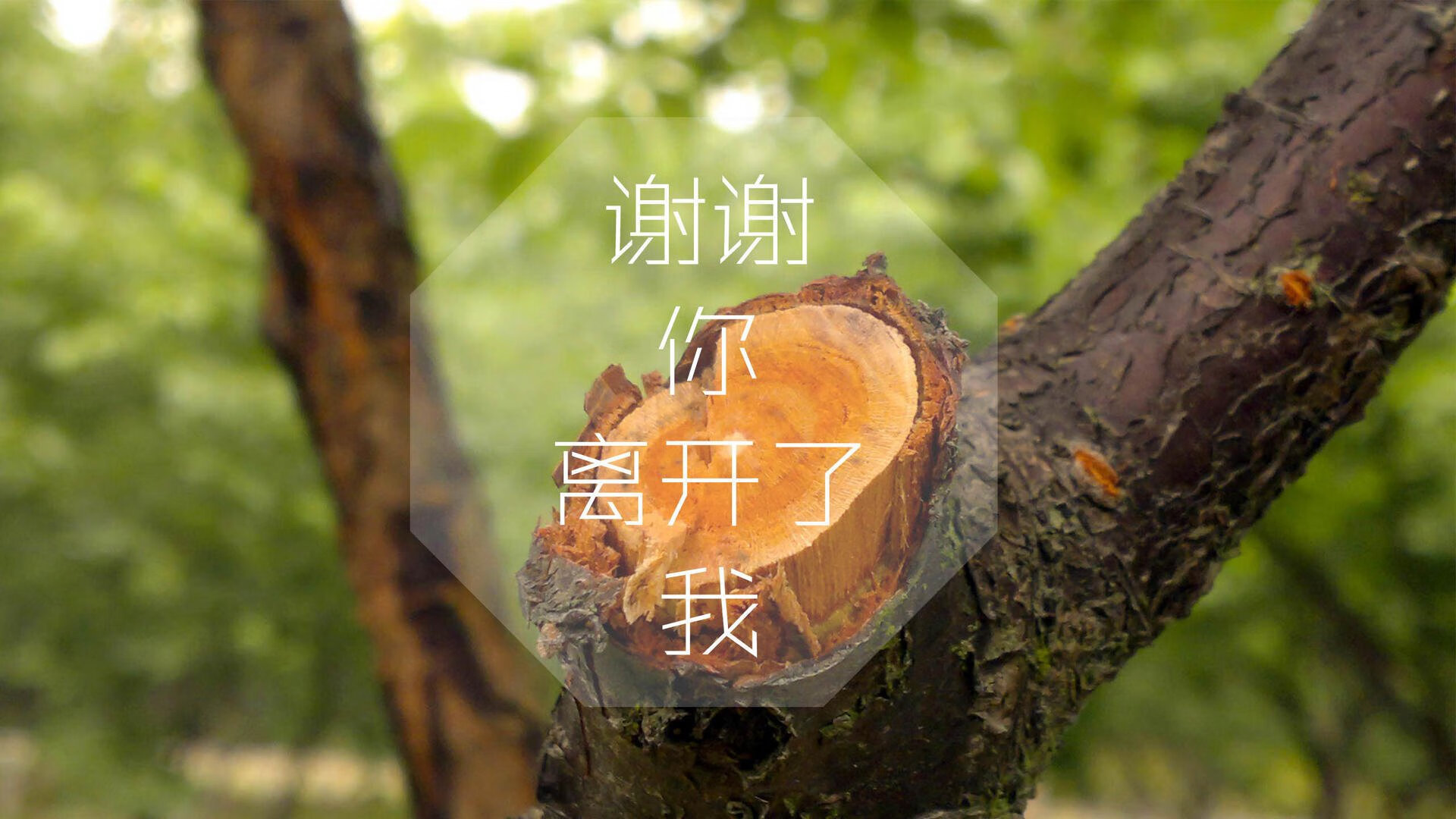 开云·Kaiyun网页版-AC米兰客场战胜乌迪内斯，继续保持不败，ac米兰vs乌迪内斯预测