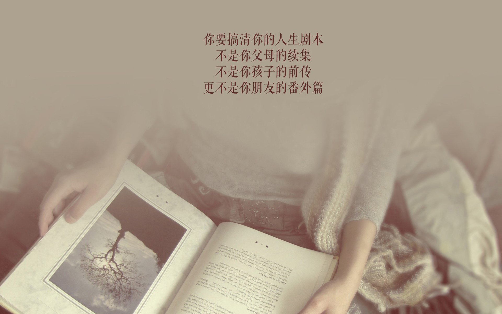 开云中国-亚眠连续第五场胜利，状态正佳，排名攀升，亚眠怎么读