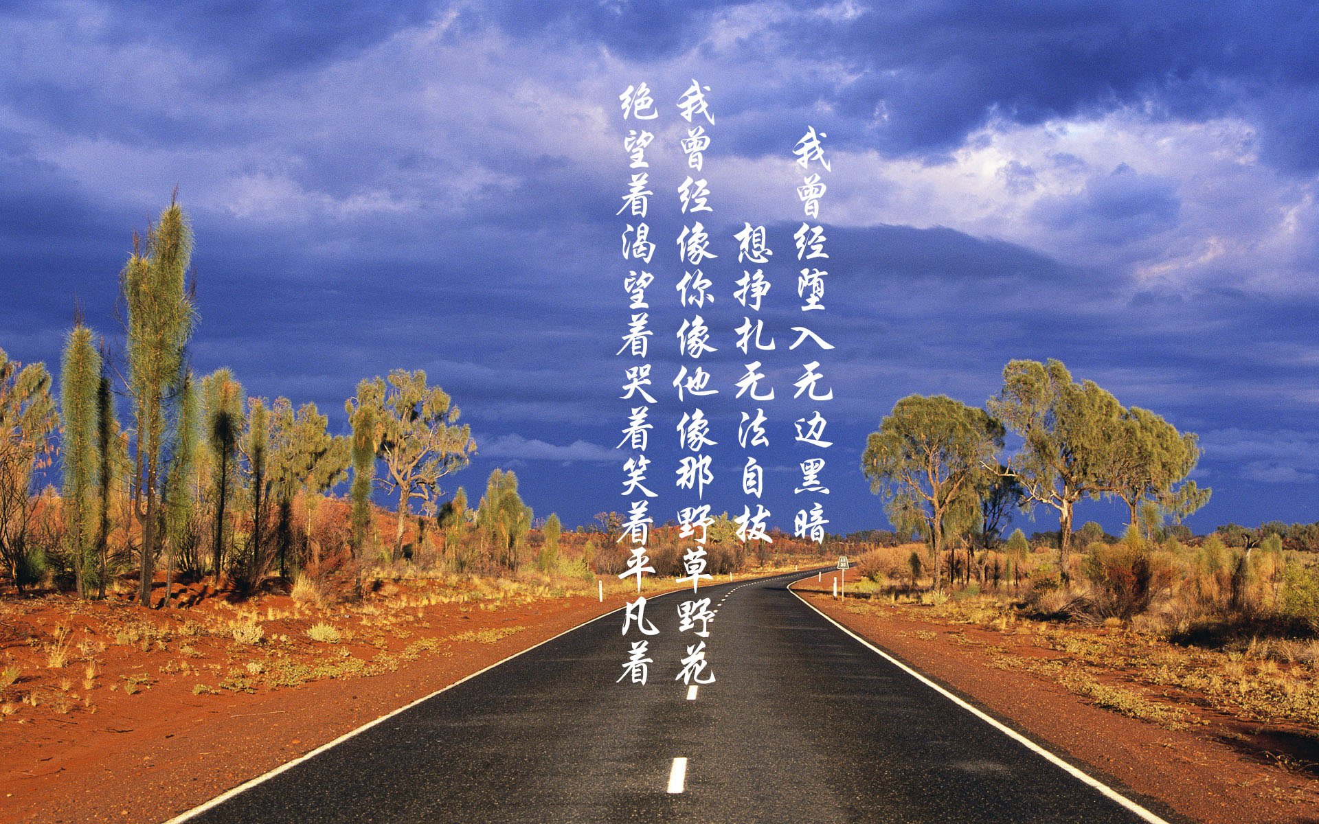 kaiyun.com-斯图加特队在德甲赛场上的表现十分不俗，斯图加特足球俱乐部百科