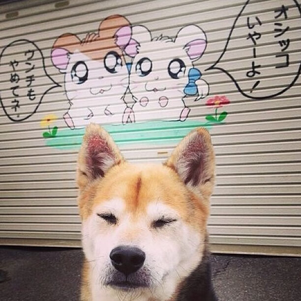 Kaiyun(中国)开云-中国篮球文化建设任重道远需要全民参与，中国篮球的问题及解决方案