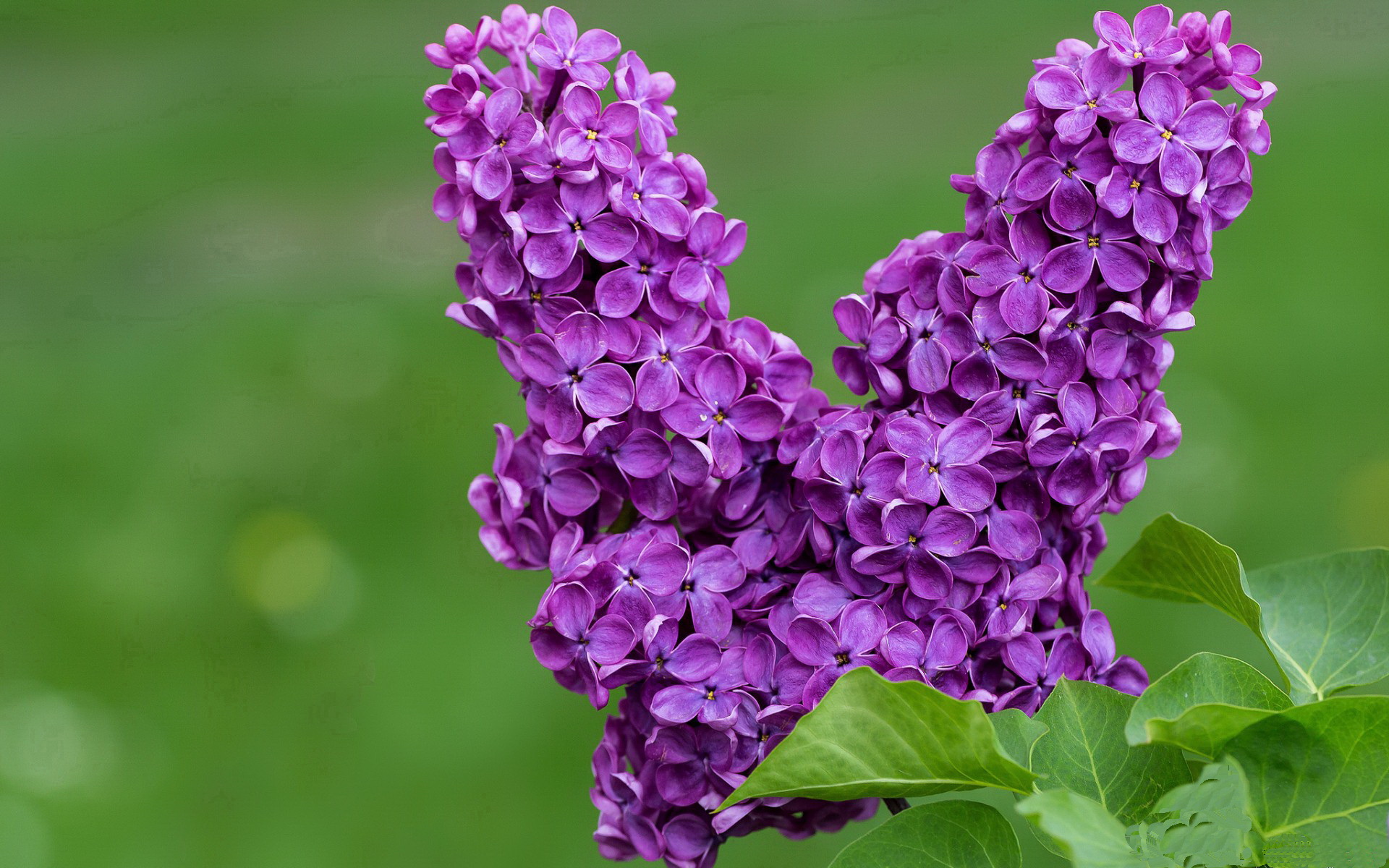 kaiyun体育app-篮板王霸气带动全队二次进攻，篮板王是什么球鞋