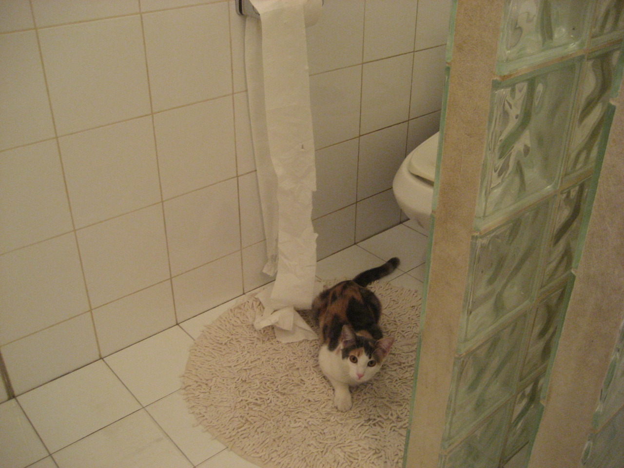 运动员康复中心启用提升恢复保障能力,运动员康复师一个月多少钱