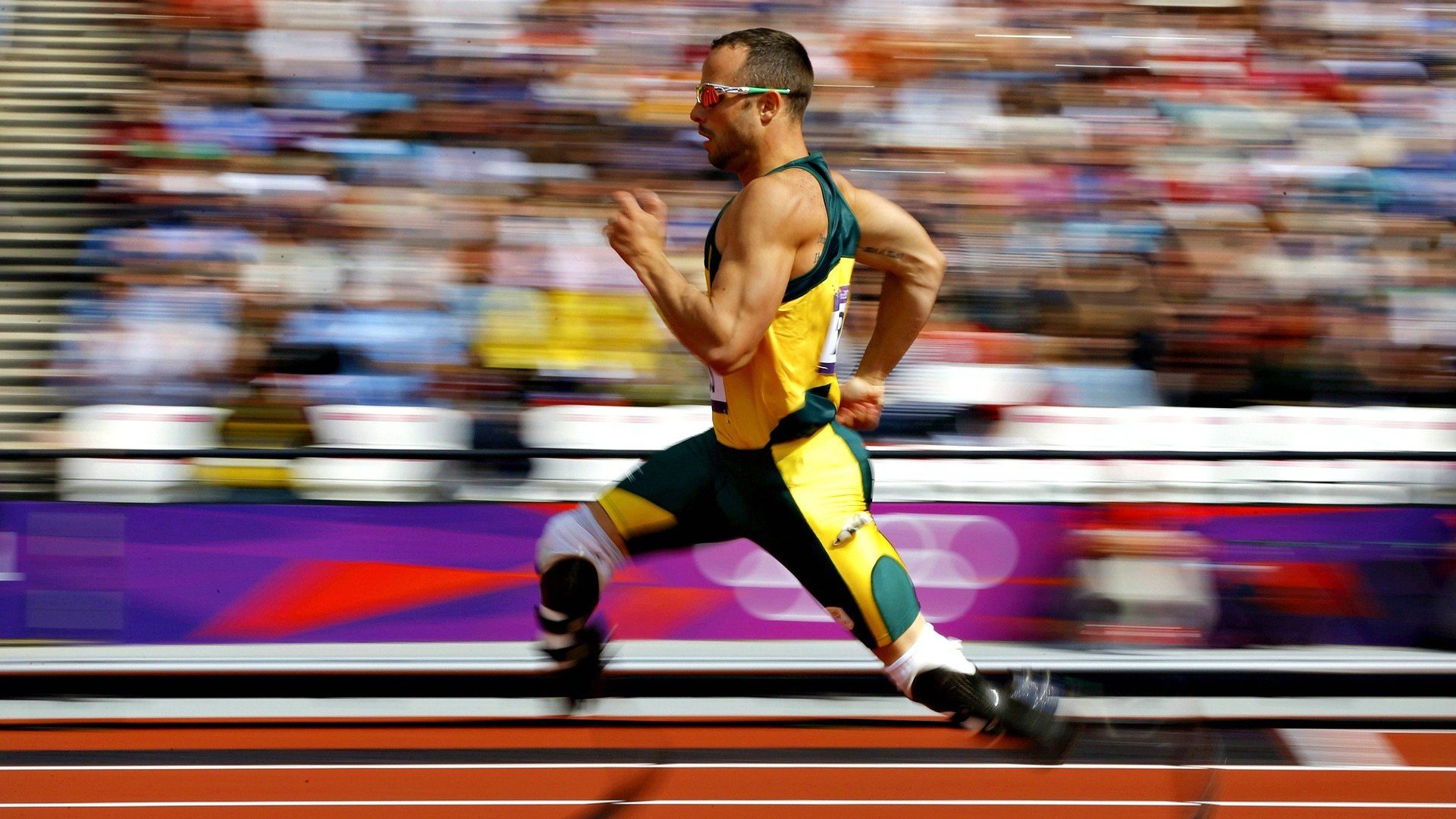 体育赛事直播观众体验优化策略,现场观看体育赛事的优点